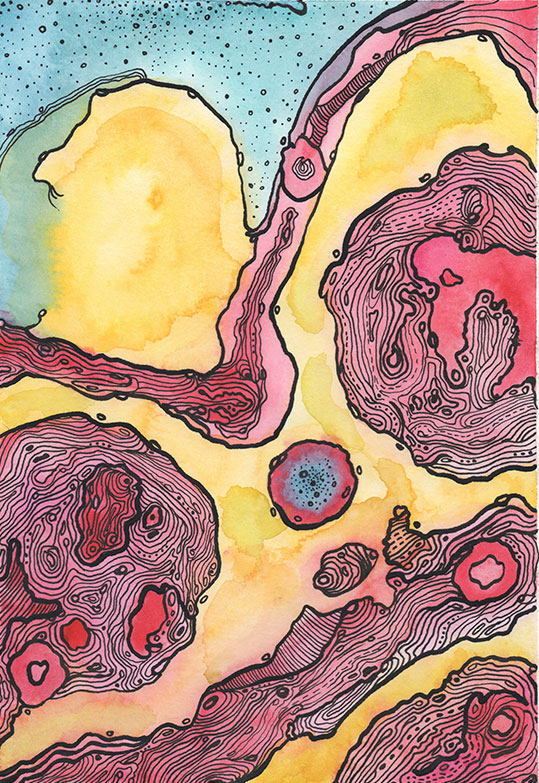flesh_illustration_belvid